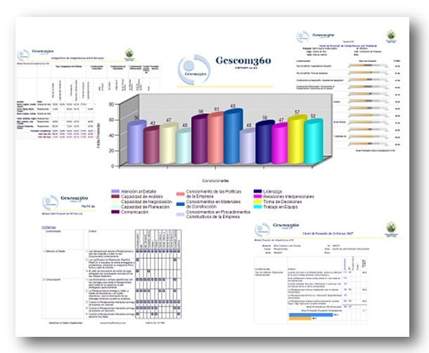 Software de CCO Los Consultores